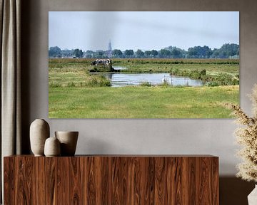 A sunny polder landscape