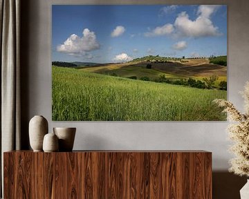 Toskanische Landschaft von Bo Scheeringa Photography