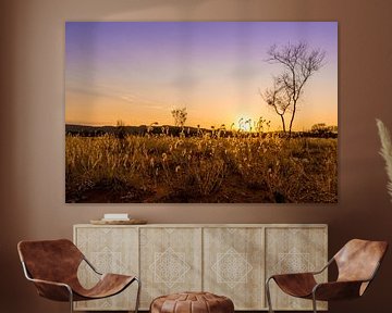 Sunrise in Kings Canyon - Australia by Troy Wegman