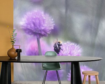 Foto 12 van Silvia Creemers