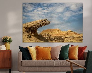 semi woestijngebied Bardenas Reales, Spanje van Jan Fritz
