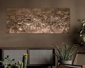 Photographie abstraite : Panorama de gouttes d'eau (beige / taupe) sur Marjolijn van den Berg