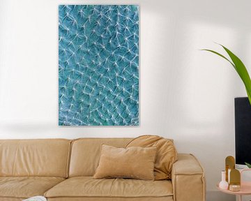 Cactus Gros plan bleu | Photographie de nature sur Denise Tiggelman