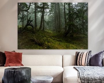 Magical Mountain Spruce Forest in the Mist 3 by Holger Spieker