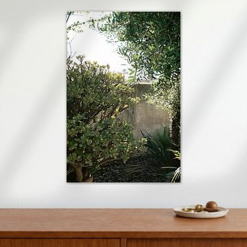 Im grünen mediterranen Garten betreten Sie eine Oase der Ruhe