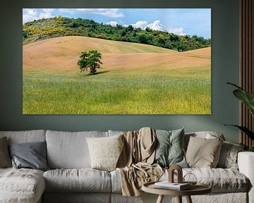 Het landschap van Toscane van Mark Bolijn