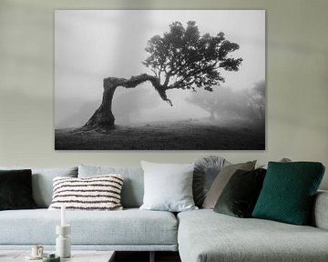 gnarled tree in the fog in black and white by Erwin Pilon