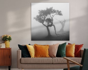 Bomen in de mist in zwart-wit van Erwin Pilon