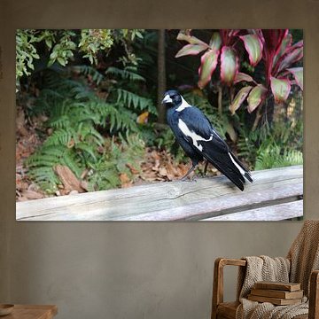 Vogel auf dem Balken