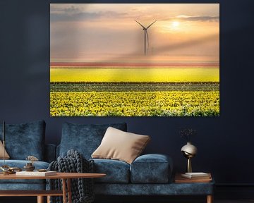 Tulips and windmills by Erwin Pilon