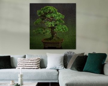 Bonsai-Baum von Greetje van Son