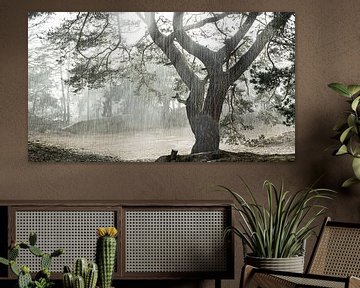 Tree in backlight during downpour by Erwin Pilon