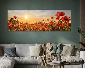 Klaprozenveld in zonsondergang | Panorama van Melanie Viola