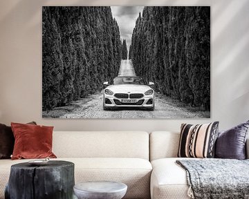 BMW Z4 by Menno Schaefer