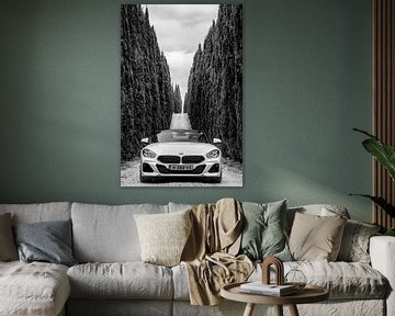 BMW Z4 von Menno Schaefer