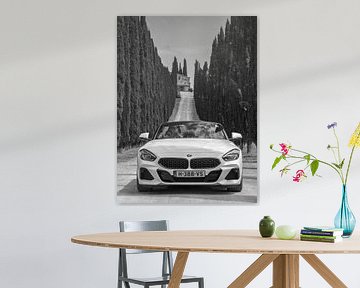 BMW Z4 sur Menno Schaefer