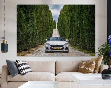 BMW Z4 by Menno Schaefer