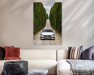 BMW Z4 van Menno Schaefer