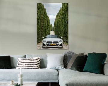 BMW Z4 sur Menno Schaefer