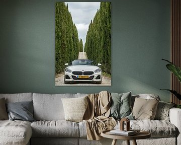 BMW Z4 von Menno Schaefer