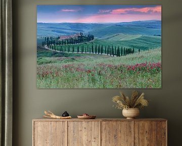 Avenue des cyprès en Toscane sur Menno Schaefer