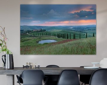 Avenue des cyprès en Toscane