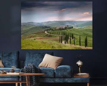 Avenue des cyprès en Toscane sur Menno Schaefer