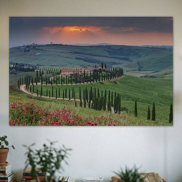 Avenue of Cypresses in Tuscany