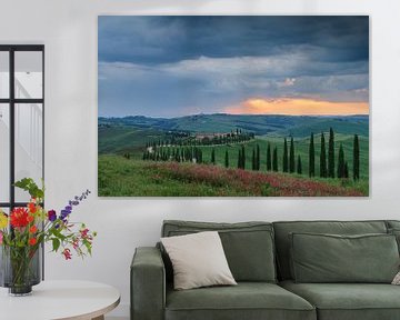 Avenue des cyprès en Toscane sur Menno Schaefer