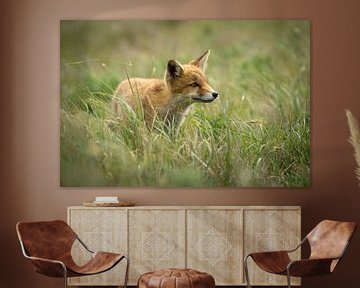 Fuchsjunges im Gras von Marco Hoogma