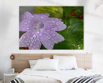 A wild purple flower after the rain by Claude Laprise