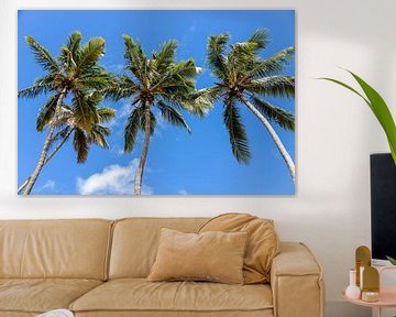 Vier palmbomen in de zon van Studio468