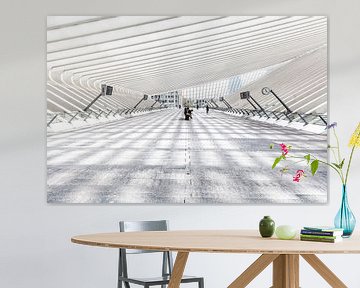 Station Luik-Guillemins by Roy Poots