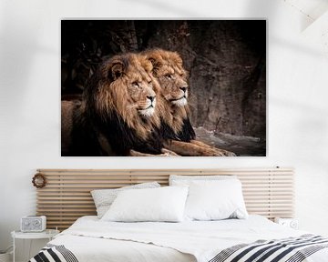 leeuwen van Design Wall Arts