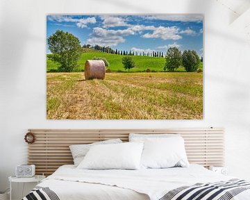 Tuscany hay bales on the grasslands from Italy by eric van der eijk