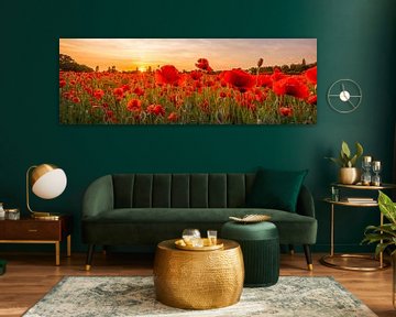 Setting sun in field of poppies | Panoramic by Melanie Viola