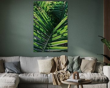 Jeu d'ombre sur une feuille de palmier à Ibiza | Macro et Nature Photography sur Diana van Neck Photography