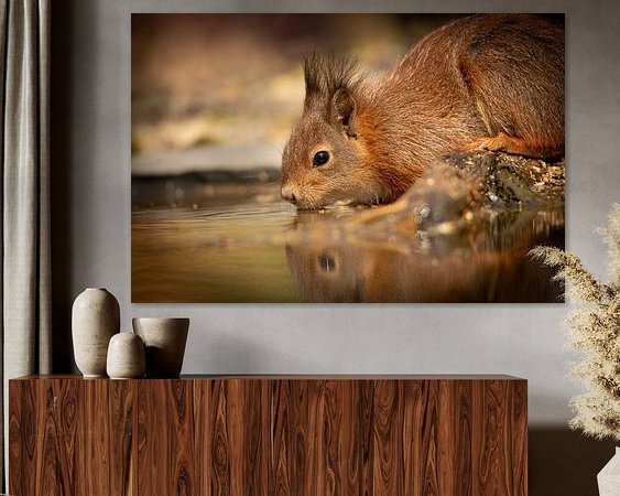 Aperçu de la chambre