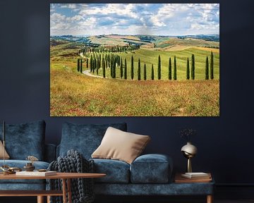 Tuscany landscape with cypress trees in Italy