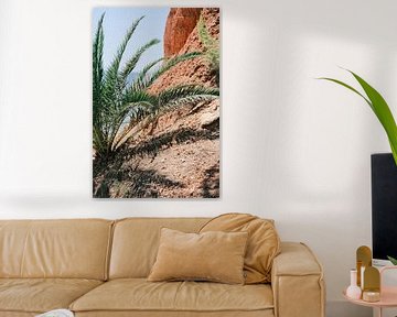 Palm, rode rots en de Middellandse Zee in Ibiza // Reisfotografie van Diana van Neck Photography