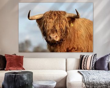 Portret van het hoofd van een Schotse hooglander stier van KB Design & Photography (Karen Brouwer)