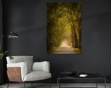 Drenthe road with trees and fog by KB Design & Photography (Karen Brouwer)