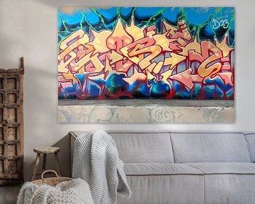 Wild Style Wall by Dmitri Demetrius