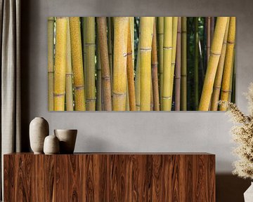 Bamboe met ruwe gele bast van Walter G. Allgöwer