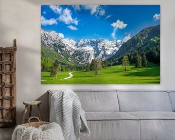 Alpen vallei in de lente in Slovenië van Sjoerd van der Wal Fotografie