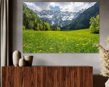 Vue de la vallée de Zgornje Jezersko au printemps sur Sjoerd van der Wal Photographie