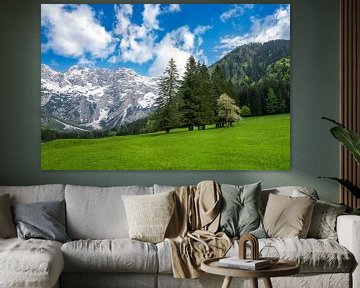 Blick auf das Tal von Zgornje Jezersko im Frühling von Sjoerd van der Wal Fotografie