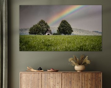 Regenbogen von Andre Michaelis