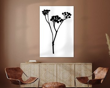 Botanical basics. Black and white drawing of a simple flower no.2 by Dina Dankers