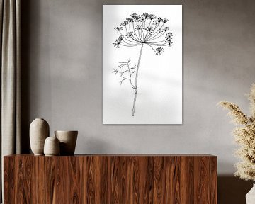 Botanische basic. Zwart-wit tekening van een eenvoudige bloem. Dille bloem. van Dina Dankers